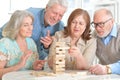 Senior couples having fun Royalty Free Stock Photo