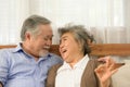 Senior couples who live happily together pay attention to each other without having children