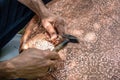 Senior craftsman working with decoration pattern on metal plate Royalty Free Stock Photo