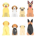 Senior dogs in a row, front and back Royalty Free Stock Photo