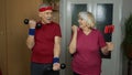 Senior elderly couple grandmother grandfather doing workout with dumbbells, fitness exercising Royalty Free Stock Photo