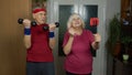 Senior elderly couple grandmother grandfather doing workout with dumbbells, fitness exercising Royalty Free Stock Photo