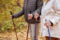 senior elderly grandmother grandfather training Nordic walking with ski trekking poles Royalty Free Stock Photo
