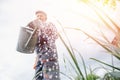 Senior elderly man with gray beard is pouring watering can in vegetable garden of plant