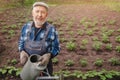 Senior elderly man with gray beard is pouring watering can in vegetable garden of plant