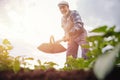 Senior elderly man reclaims earth with chopper hoe on potato field. Concept eco farm, agriculture