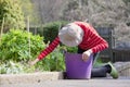 Senior elderly person active lifestyle in garden during bright colourful spring sunshine and summer temperature