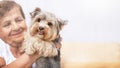 Senior elderly woman (over age of 50) hugging lovely Yorkshire terrier dog with cute expression at home.