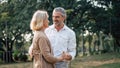 Senior elegant caucasian couple dancing looking at each other feeling love and cherish on their anniversary in the park with copy Royalty Free Stock Photo