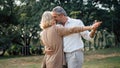 Senior elegant caucasian couple dancing looking at each other feeling love and cherish on their anniversary in the park with copy Royalty Free Stock Photo