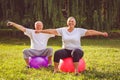 Senior exercise - pensioner couple doing fitness exercises on fitness ball in park