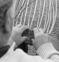 Senior expert craftsman creates a wicker basket