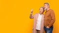 senior family couple pointing finger aside at empty space, panorama