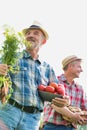 Senior farmer carrying newly harvest carrots and tomatoes at farm against mature farmer carrying potatoes