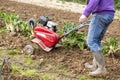 Senior farmer gardener working in the garden with rototiller , tiller tractor, cutivator, miiling machine Royalty Free Stock Photo