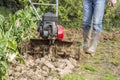 Senior farmer gardener working in the garden with rototiller , tiller tractor, cutivator, miiling machine