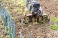 Senior farmer gardener working in the garden with rototiller , tiller tractor, cutivator, miiling machine Royalty Free Stock Photo