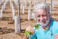 A senior farmer man controls carefully the sprouts of his new vineyard smiling happily - active retired elderly with white hair