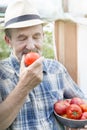 Senior farmer smelling fresh tomato at farm