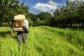 Senior farmer spraying the orchard Royalty Free Stock Photo