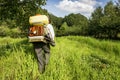 Senior farmer spraying the orchard Royalty Free Stock Photo