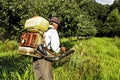 Senior farmer spraying the orchard Royalty Free Stock Photo