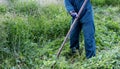 senior farmer using scythe to mow the lawn traditionally Royalty Free Stock Photo
