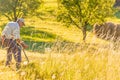 Senior farmer using scythe to mow the lawn traditionally with rural landscape in summer light Royalty Free Stock Photo