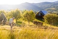 Senior farmer using scythe to mow the lawn traditionally with rural landscape in summer light Royalty Free Stock Photo