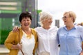 Senior female friends having good time together Royalty Free Stock Photo