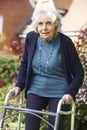 Senior Female In Garden Using Walking Frame Royalty Free Stock Photo