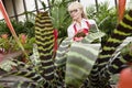 Senior female gardener working in greenhouse Royalty Free Stock Photo