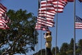 Senior female photographer shooting pictures at a memorial USA Flag display