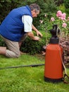 Senior florist working in the garden Royalty Free Stock Photo