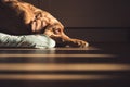 Senior Fox Red labrador Retriever dog sleeping in a home interior with high contrast window light Royalty Free Stock Photo