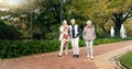 Senior friends, walking and talking together on an outdoor path to relax in nature with elderly women in retirement Royalty Free Stock Photo