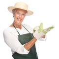 Senior gardener Royalty Free Stock Photo