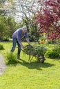 Senior gardener with barrow Royalty Free Stock Photo