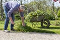 Senior gardener with barrow Royalty Free Stock Photo