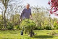 Senior gardener with barrow Royalty Free Stock Photo