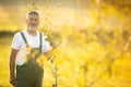 Senior gardener gardening in his permaculture garden