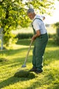 Senior gardener raking the lawn after mowing it