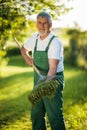 Senior gardener raking the lawn after mowing it