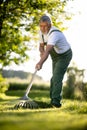 Senior gardener raking the lawn after mowing it