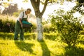 Senior gardener raking the lawn after mowing it