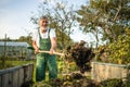 Senior gardener gardening in his  garden Royalty Free Stock Photo