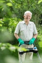 Senior gardener mowing the grass