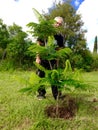 Senior gardener proud after planting new Poinciana tree