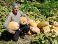 Senior gardener with pumpkins