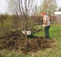 Senior gardener working Royalty Free Stock Photo